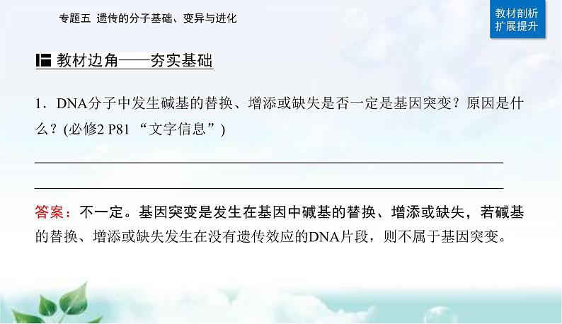 2023届高考生物二轮复习第8讲生物的变异与进化课件第3页