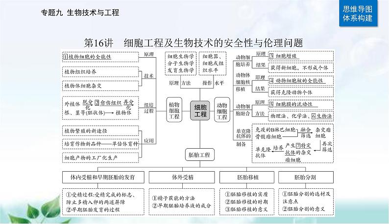 2023届高考生物二轮复习第16讲细胞工程及生物技术的安全性与伦理问题课件02