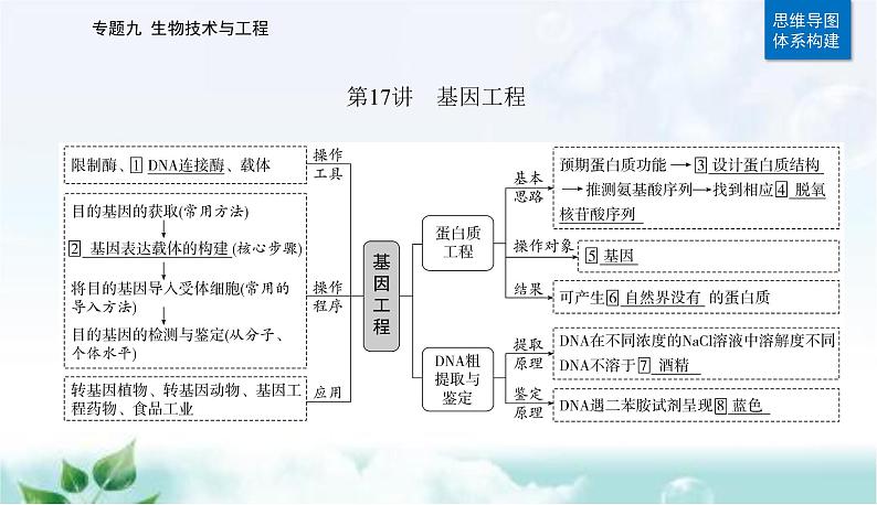 2023届高考生物二轮复习第17讲基因工程课件02