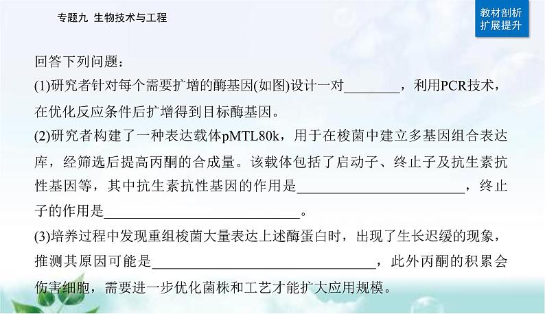 2023届高考生物二轮复习第17讲基因工程课件08