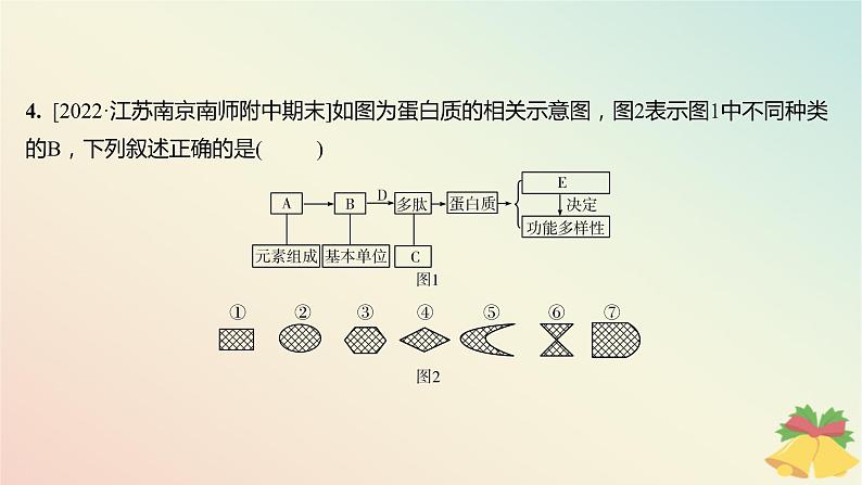 江苏专版2023_2024学年新教材高中生物第一章细胞的分子组成第三节细胞中的蛋白质和核酸第一课时细胞的功能主要由蛋白质完成分层作业课件苏教版必修104