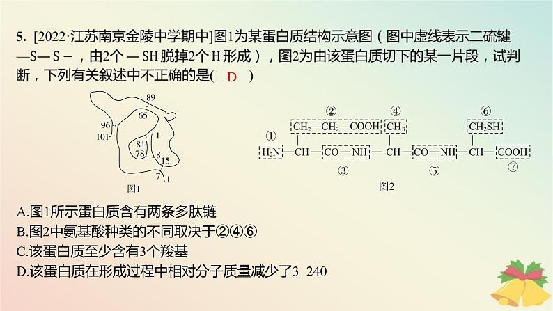 江苏专版2023_2024学年新教材高中生物第一章细胞的分子组成第三节细胞中的蛋白质和核酸第一课时细胞的功能主要由蛋白质完成分层作业课件苏教版必修106