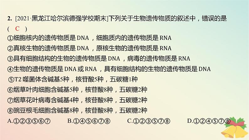 江苏专版2023_2024学年新教材高中生物第一章细胞的分子组成第三节细胞中的蛋白质和核酸第二课时核酸储存与传递遗传信息分层作业课件苏教版必修103