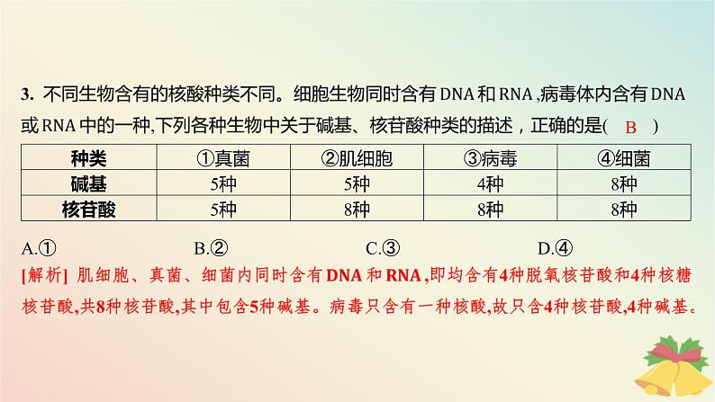 江苏专版2023_2024学年新教材高中生物第一章细胞的分子组成第三节细胞中的蛋白质和核酸第二课时核酸储存与传递遗传信息分层作业课件苏教版必修105