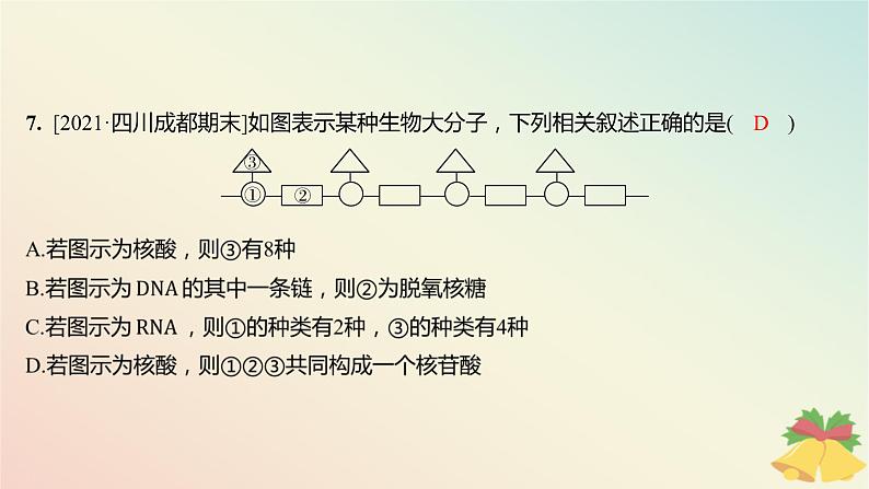 江苏专版2023_2024学年新教材高中生物第一章细胞的分子组成第三节细胞中的蛋白质和核酸第二课时核酸储存与传递遗传信息分层作业课件苏教版必修108