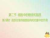 江蘇專版2023_2024學年新教材高中生物第一章細胞的分子組成第二節(jié)細胞中的糖類和脂質(zhì)第二課時脂質(zhì)在維持細胞結(jié)構(gòu)和功能中的作用課件蘇教版必修1