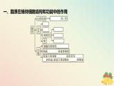 江苏专版2023_2024学年新教材高中生物第一章细胞的分子组成第二节细胞中的糖类和脂质第二课时脂质在维持细胞结构和功能中的作用课件苏教版必修1