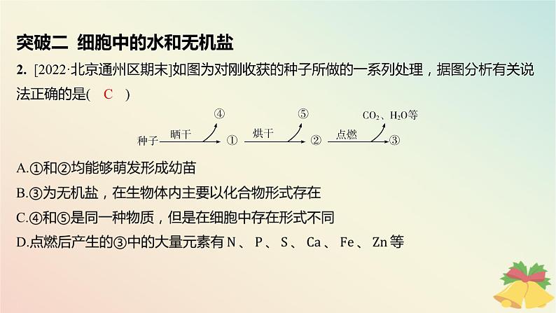 江苏专版2023_2024学年新教材高中生物第一章细胞的分子组成本章知识网络分层作业课件苏教版必修103