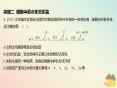 江苏专版2023_2024学年新教材高中生物第一章细胞的分子组成本章知识网络分层作业课件苏教版必修1