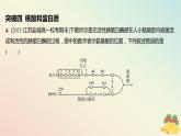 江苏专版2023_2024学年新教材高中生物第一章细胞的分子组成本章知识网络分层作业课件苏教版必修1