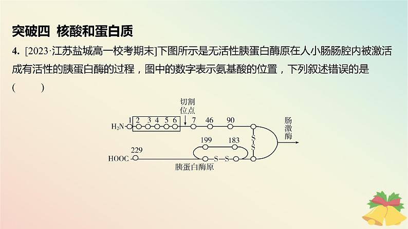 江苏专版2023_2024学年新教材高中生物第一章细胞的分子组成本章知识网络分层作业课件苏教版必修105