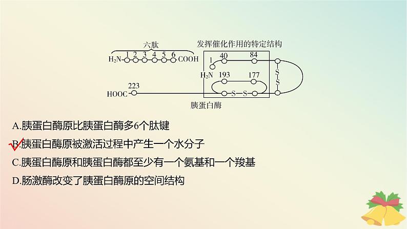 江苏专版2023_2024学年新教材高中生物第一章细胞的分子组成本章知识网络分层作业课件苏教版必修106