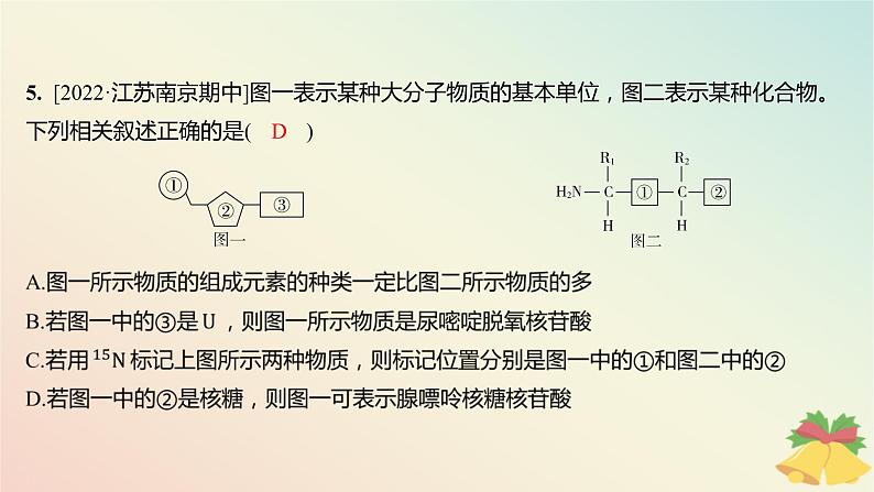 江苏专版2023_2024学年新教材高中生物第一章细胞的分子组成本章知识网络分层作业课件苏教版必修107