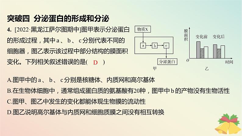 江苏专版2023_2024学年新教材高中生物第二章细胞的结构和生命活动本章知识网络分层作业课件苏教版必修105