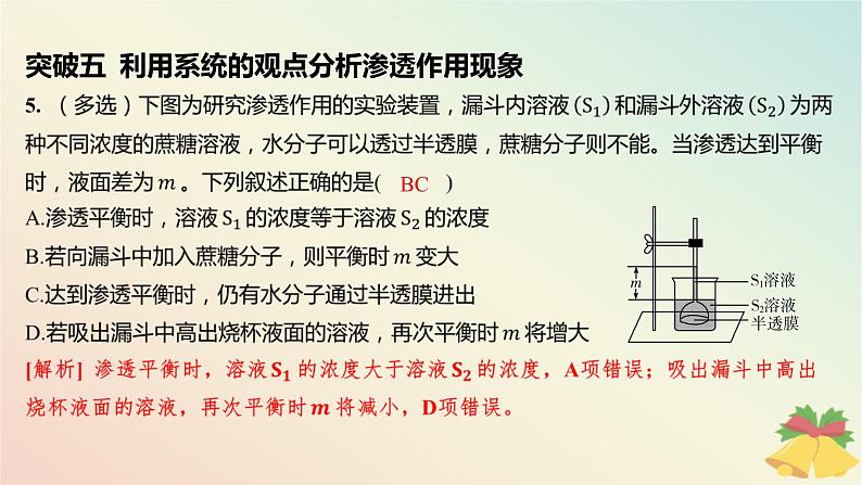 江苏专版2023_2024学年新教材高中生物第二章细胞的结构和生命活动本章知识网络分层作业课件苏教版必修107