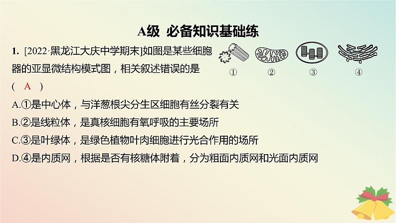 江苏专版2023_2024学年新教材高中生物第二章细胞的结构和生命活动第二节细胞__生命活动的基本单位第二课时结构与功能独特的细胞器分层作业课件苏教版必修1第2页