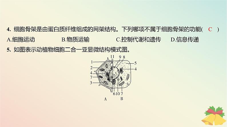 江苏专版2023_2024学年新教材高中生物第二章细胞的结构和生命活动第二节细胞__生命活动的基本单位第二课时结构与功能独特的细胞器分层作业课件苏教版必修1第4页