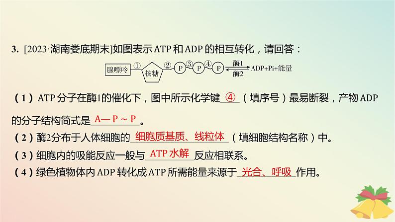 江苏专版2023_2024学年新教材高中生物第三章细胞中能量的转换和利用第一节生命活动需要酶和能源物质第三课时ATP是驱动细胞生命活动的直接能源物质分层作业课件苏教版必修104