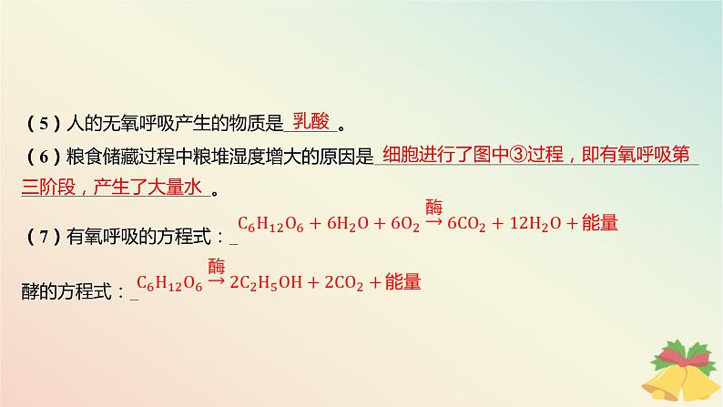 江苏专版2023_2024学年新教材高中生物第三章细胞中能量的转换和利用第三节细胞呼吸__能量的转化和利用分层作业课件苏教版必修1第7页