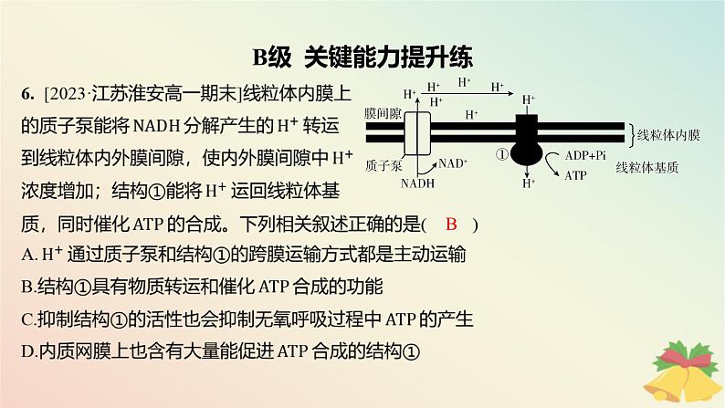 江苏专版2023_2024学年新教材高中生物第三章细胞中能量的转换和利用第三节细胞呼吸__能量的转化和利用分层作业课件苏教版必修1第8页