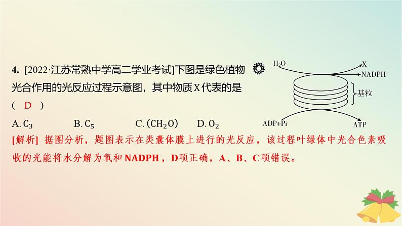 江苏专版2023_2024学年新教材高中生物第三章细胞中能量的转换和利用第二节光合作用__光能的捕获和转换第二课时绿色植物光合作用的过程分层作业课件苏教版必修105