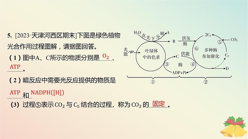 江苏专版2023_2024学年新教材高中生物第三章细胞中能量的转换和利用第二节光合作用__光能的捕获和转换第二课时绿色植物光合作用的过程分层作业课件苏教版必修106