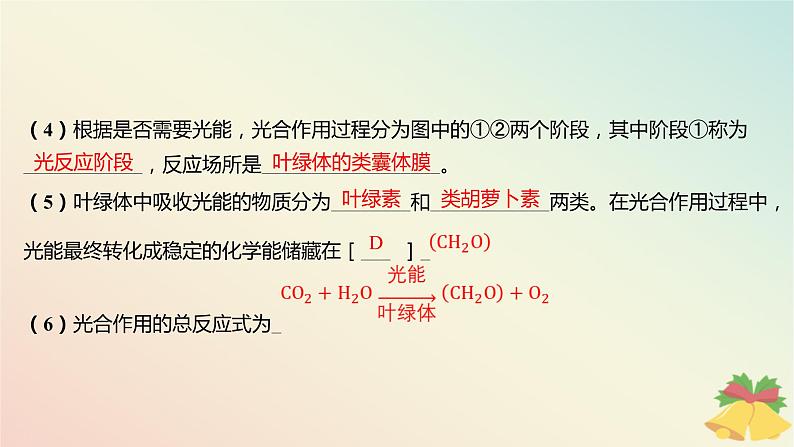 江苏专版2023_2024学年新教材高中生物第三章细胞中能量的转换和利用第二节光合作用__光能的捕获和转换第二课时绿色植物光合作用的过程分层作业课件苏教版必修107