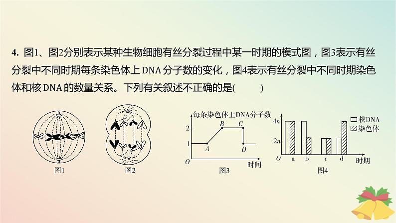 江苏专版2023_2024学年新教材高中生物第四章细胞增殖分化衰老和死亡微专题四与有丝分裂过程相关的图像和曲线分析分层作业课件苏教版必修1第6页