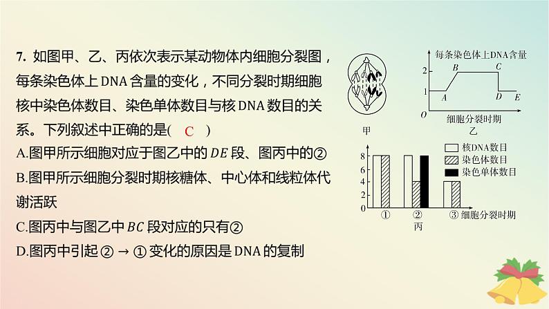 江苏专版2023_2024学年新教材高中生物第四章细胞增殖分化衰老和死亡测评课件苏教版必修1第8页