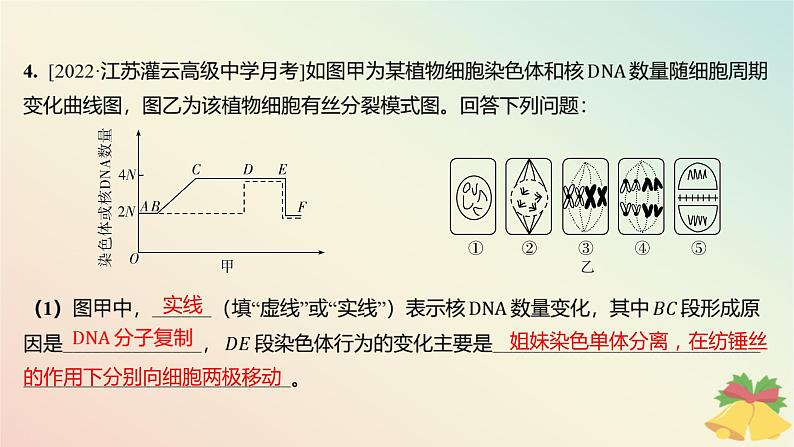 江苏专版2023_2024学年新教材高中生物第四章细胞增殖分化衰老和死亡第一节细胞增殖第一课时细胞增殖与动物细胞的有丝分裂分层作业课件苏教版必修105