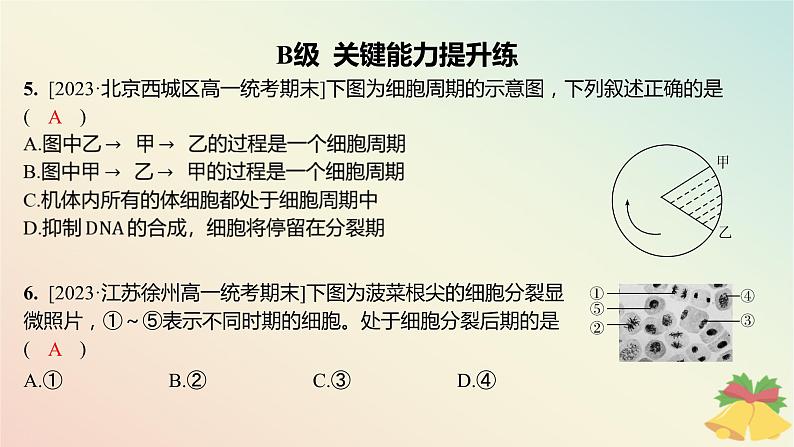 江苏专版2023_2024学年新教材高中生物第四章细胞增殖分化衰老和死亡第一节细胞增殖第一课时细胞增殖与动物细胞的有丝分裂分层作业课件苏教版必修107