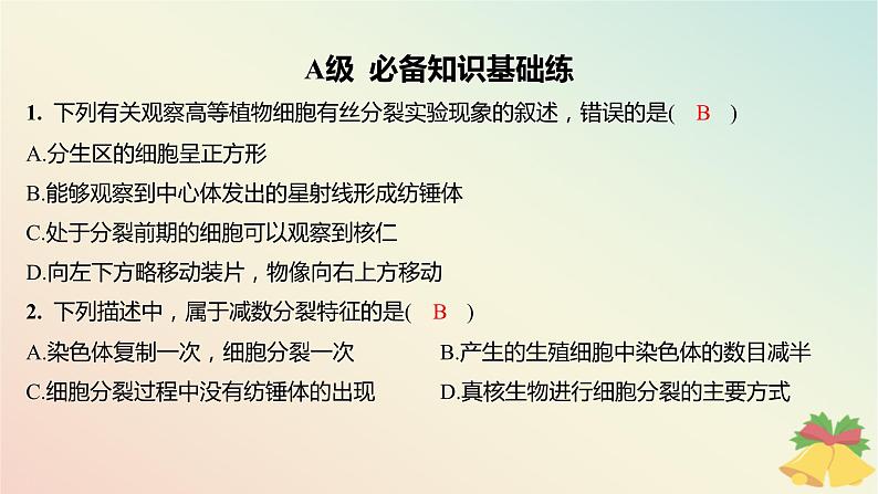 江苏专版2023_2024学年新教材高中生物第四章细胞增殖分化衰老和死亡第一节细胞增殖第二课时植物细胞的有丝分裂减数分裂和无丝分裂分层作业课件苏教版必修102