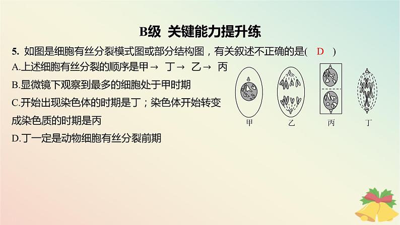 江苏专版2023_2024学年新教材高中生物第四章细胞增殖分化衰老和死亡第一节细胞增殖第二课时植物细胞的有丝分裂减数分裂和无丝分裂分层作业课件苏教版必修106