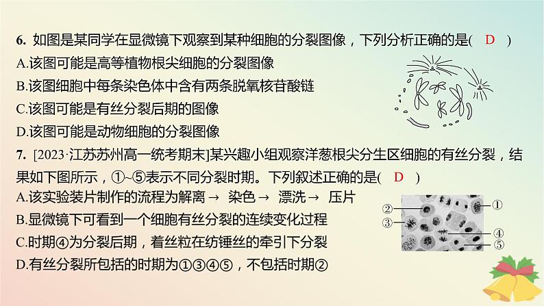 江苏专版2023_2024学年新教材高中生物第四章细胞增殖分化衰老和死亡第一节细胞增殖第二课时植物细胞的有丝分裂减数分裂和无丝分裂分层作业课件苏教版必修107