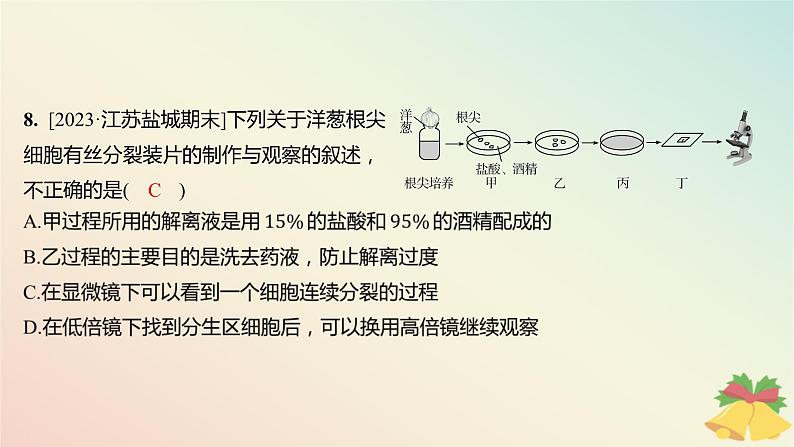 江苏专版2023_2024学年新教材高中生物第四章细胞增殖分化衰老和死亡第一节细胞增殖第二课时植物细胞的有丝分裂减数分裂和无丝分裂分层作业课件苏教版必修108