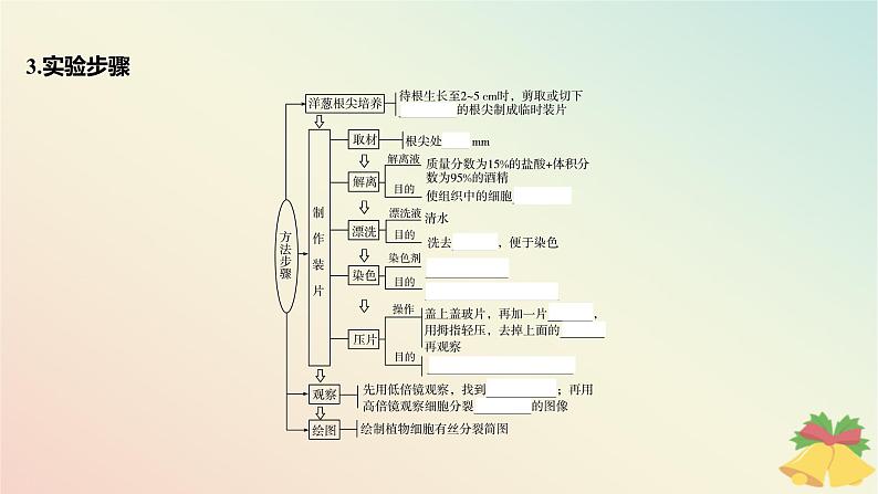 江苏专版2023_2024学年新教材高中生物第四章细胞增殖分化衰老和死亡第一节细胞增殖第二课时植物细胞的有丝分裂减数分裂和无丝分裂课件苏教版必修107