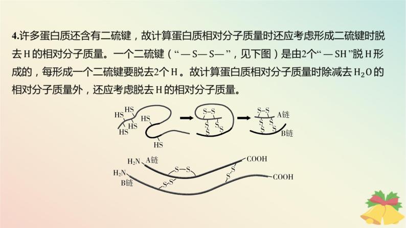 江苏专版2023_2024学年新教材高中生物第一章细胞的分子组成第三节细胞中的蛋白质和核酸微专题一与蛋白质的合成和水解过程相关的计算课件苏教版必修103