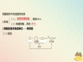 江苏专版2023_2024学年新教材高中生物第一章细胞的分子组成第三节细胞中的蛋白质和核酸第二课时核酸储存与传递遗传信息课件苏教版必修1