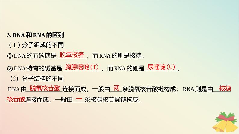 江苏专版2023_2024学年新教材高中生物第一章细胞的分子组成第三节细胞中的蛋白质和核酸第二课时核酸储存与传递遗传信息课件苏教版必修108