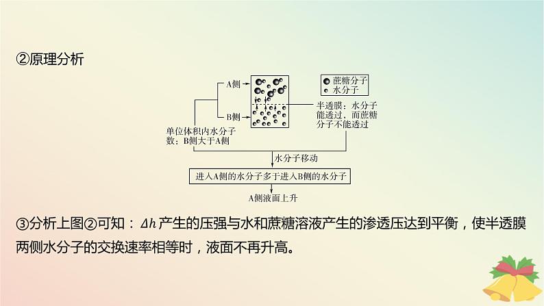 江苏专版2023_2024学年新教材高中生物第二章细胞的结构和生命活动第三节物质进出细胞的运输方式第一课时细胞质膜具有选择透过性课件苏教版必修107