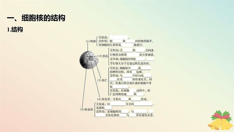 江苏专版2023_2024学年新教材高中生物第二章细胞的结构和生命活动第二节细胞__生命活动的基本单位第三课时遗传信息主要储存在细胞核中课件苏教版必修105