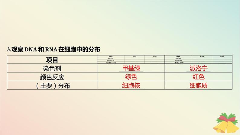 江苏专版2023_2024学年新教材高中生物第二章细胞的结构和生命活动第二节细胞__生命活动的基本单位第三课时遗传信息主要储存在细胞核中课件苏教版必修107