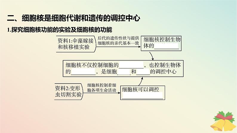 江苏专版2023_2024学年新教材高中生物第二章细胞的结构和生命活动第二节细胞__生命活动的基本单位第三课时遗传信息主要储存在细胞核中课件苏教版必修108