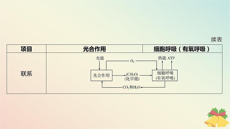 江苏专版2023_2024学年新教材高中生物第三章细胞中能量的转换和利用微专题三光合作用与细胞呼吸的关系曲线模型及相关实验设计课件苏教版必修103