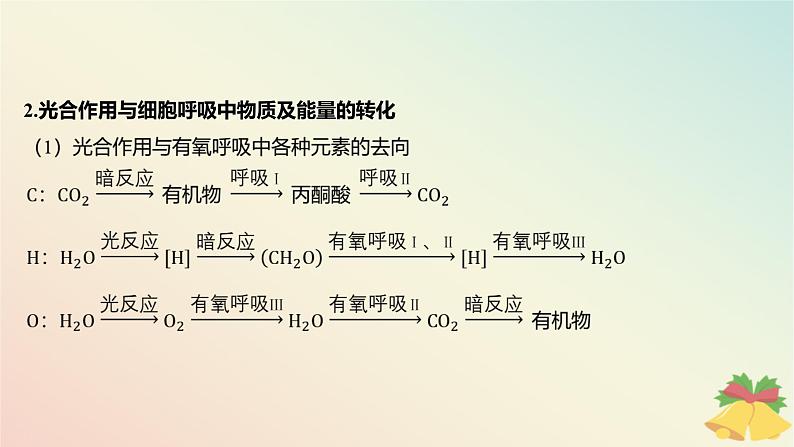 江苏专版2023_2024学年新教材高中生物第三章细胞中能量的转换和利用微专题三光合作用与细胞呼吸的关系曲线模型及相关实验设计课件苏教版必修104