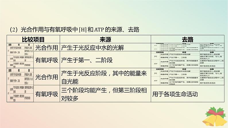 江苏专版2023_2024学年新教材高中生物第三章细胞中能量的转换和利用微专题三光合作用与细胞呼吸的关系曲线模型及相关实验设计课件苏教版必修105