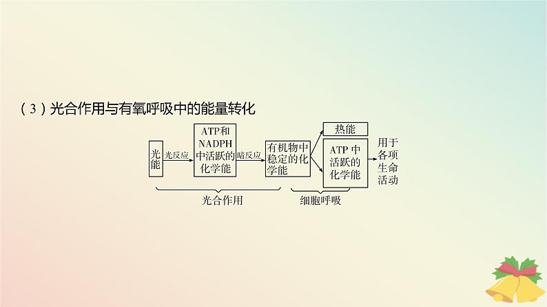 江苏专版2023_2024学年新教材高中生物第三章细胞中能量的转换和利用微专题三光合作用与细胞呼吸的关系曲线模型及相关实验设计课件苏教版必修106