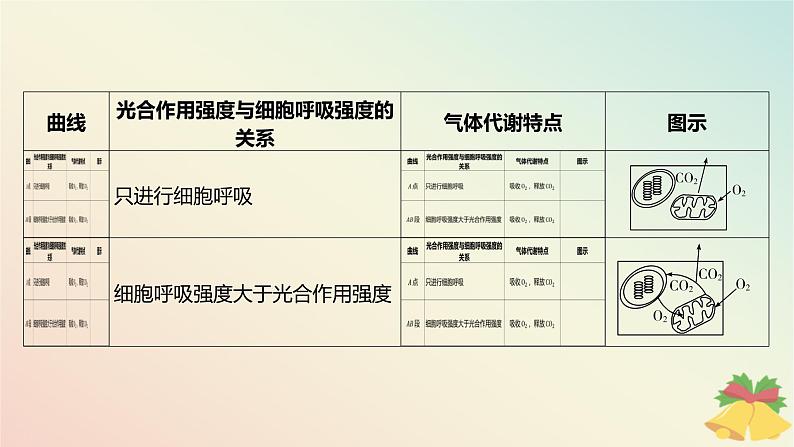 江苏专版2023_2024学年新教材高中生物第三章细胞中能量的转换和利用微专题三光合作用与细胞呼吸的关系曲线模型及相关实验设计课件苏教版必修108