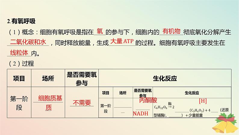 江苏专版2023_2024学年新教材高中生物第三章细胞中能量的转换和利用第三节细胞呼吸__能量的转化和利用课件苏教版必修106