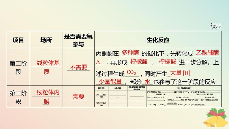 江苏专版2023_2024学年新教材高中生物第三章细胞中能量的转换和利用第三节细胞呼吸__能量的转化和利用课件苏教版必修107